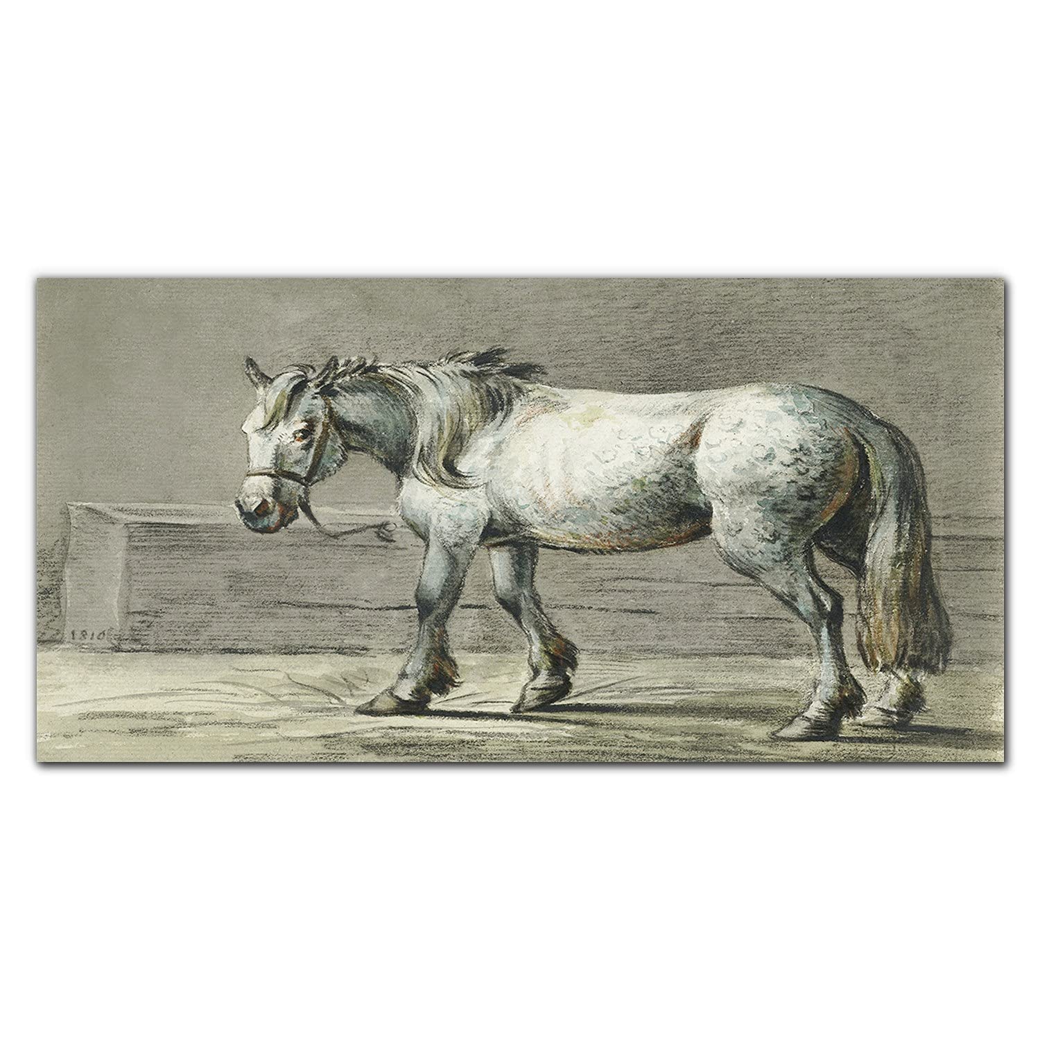 Dosseret en verre trempé Coloray 100x50 cm protection murale de cuisine cheval