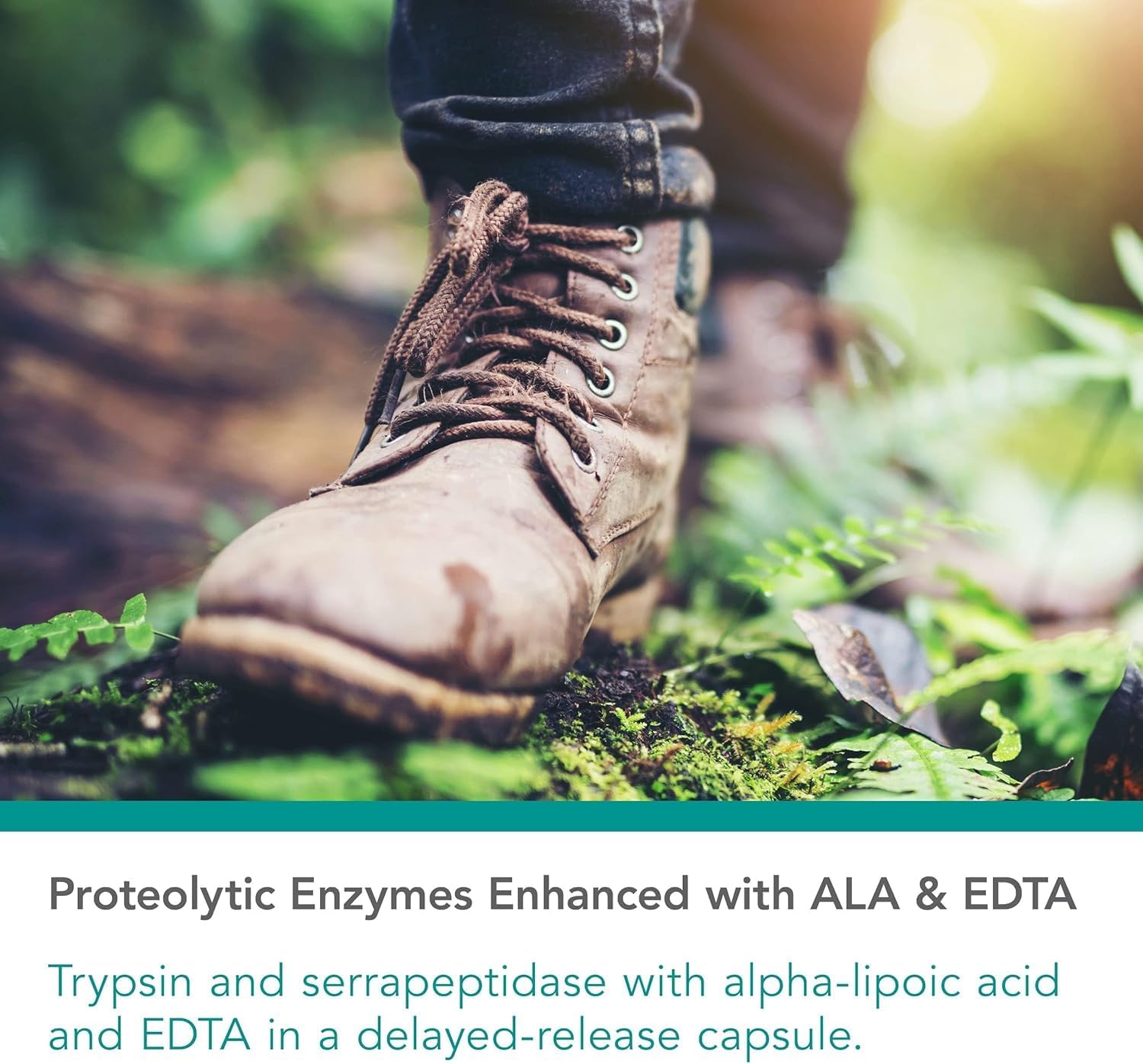 Nutricology Biofilm Neutralizer - Biofilm Defense, EDTA Supplement, Proteolytic Enzymes, Serrapeptase, Vegetarian Capsules - 60 Count - Image 3