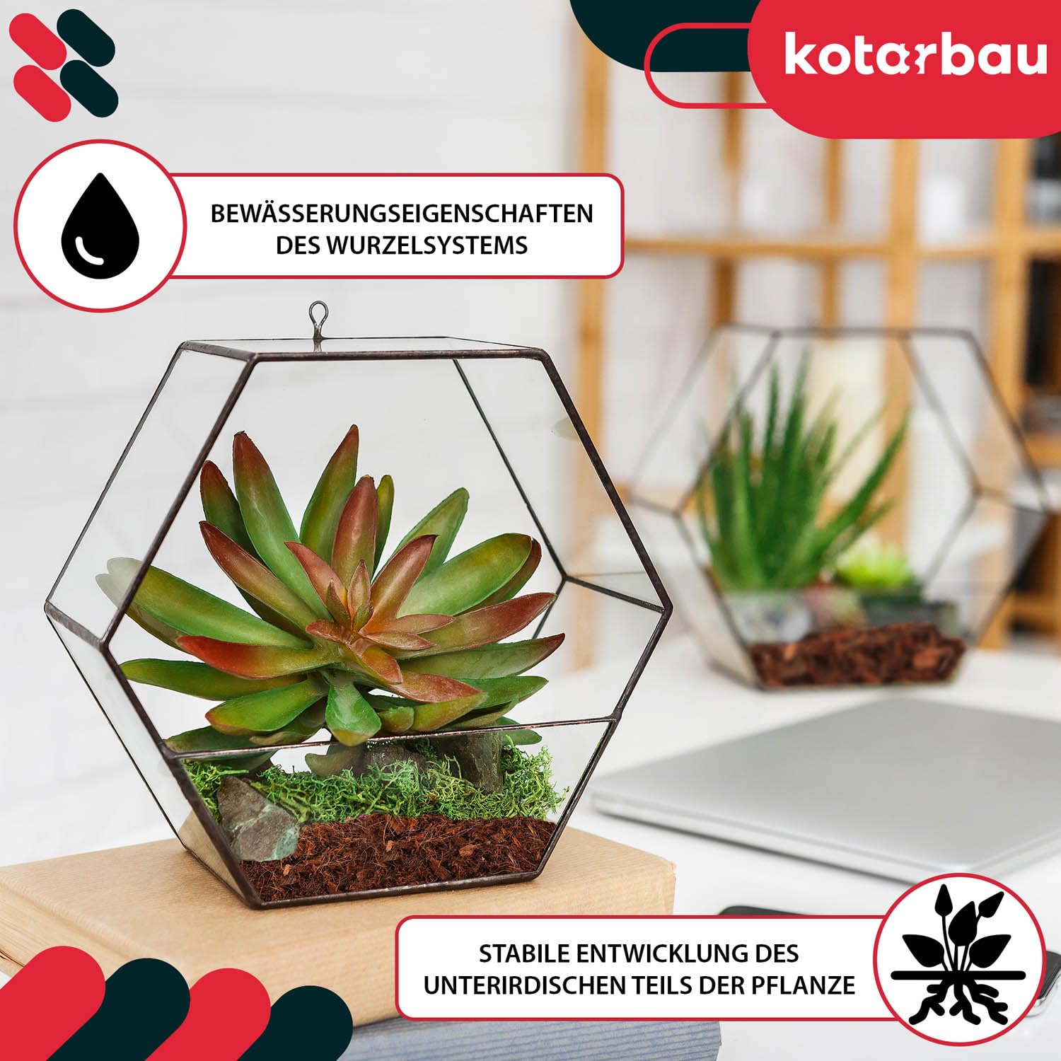 KOTARBAU® Natürlich & Torffrei Kokoserde für Pflanzen und Terrarium 24 x 500 g - 120 L Blumenerde aus Kokosfaser