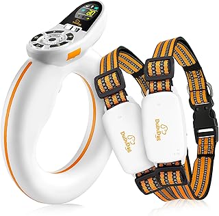 DuDuDog Dog Training Shock Collar for 2 Dogs with 9.8FT Retractable Leash – 3200FT Remote E-Collar for Dogs, Color Screen Display, Beep Vibration Static, IP67 Waterproof, USB-C Rechargeable