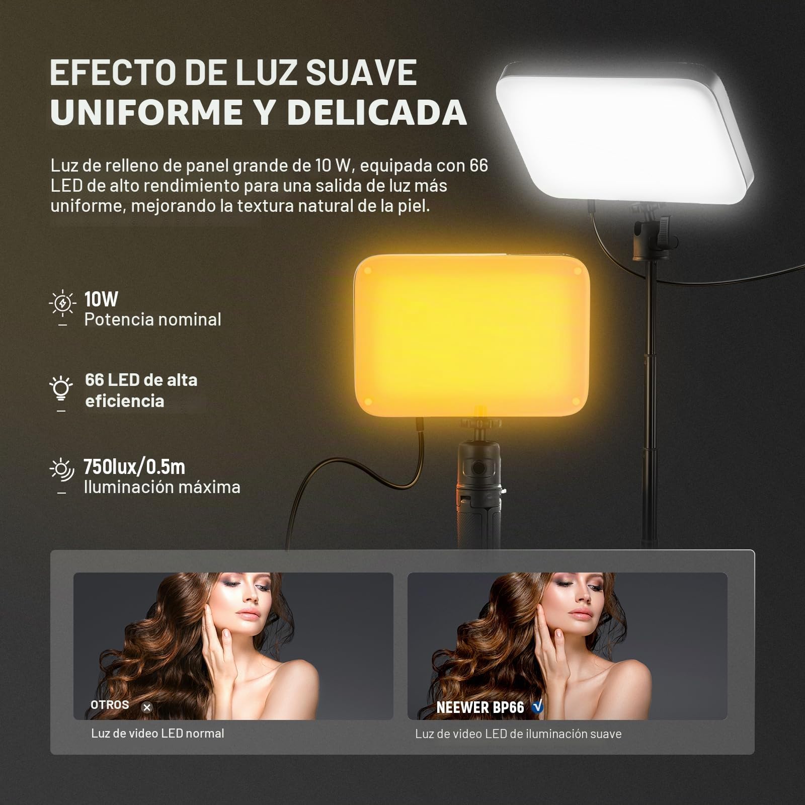 NEEWER Basics 2Pack Panel Video LED Escritorio, Kit Videoconferencias Foco Luz con Trípode y Filtros para Móvil Cámara Web Portátil Zoom Llamadas Maquillaje Grabación Selfies, Bicolor Regulable, BP66