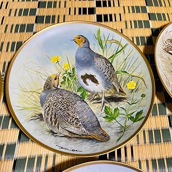 野鳥絵皿　フランス　リモージュ　フランクリンポーセリン　12枚 Amazon.co.jp: 野鳥絵皿 フランス リモージュ フランクリン