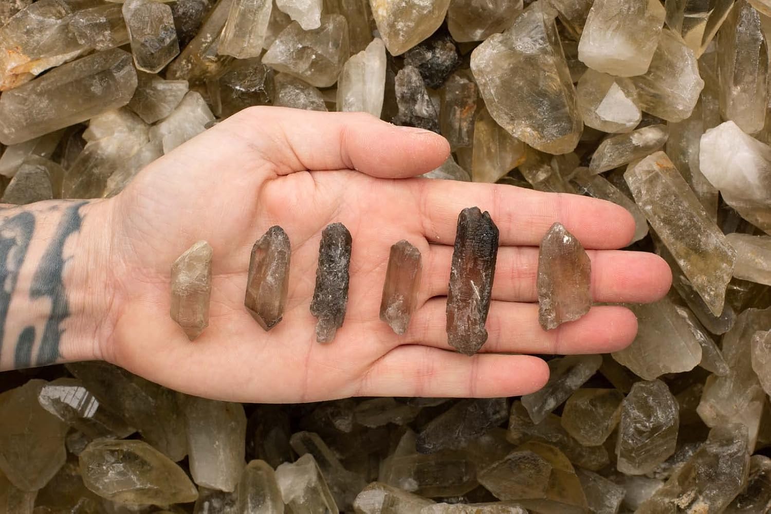 Fantasia Materials: 2 lbs Beer Smoky Quartz Points from Zambia - Unheated/Untreated - Completely Natural Earth Mined Smoky Points!