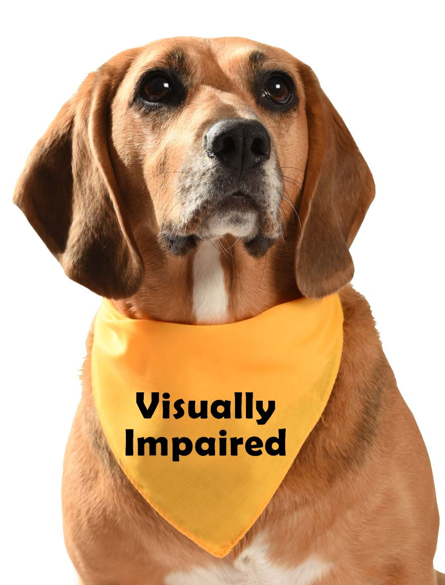 Yellow dog bandana - Visually Impaired - for sight impaired or blind dogs - customised wording also available - size regular