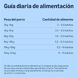 Ver la foto 6