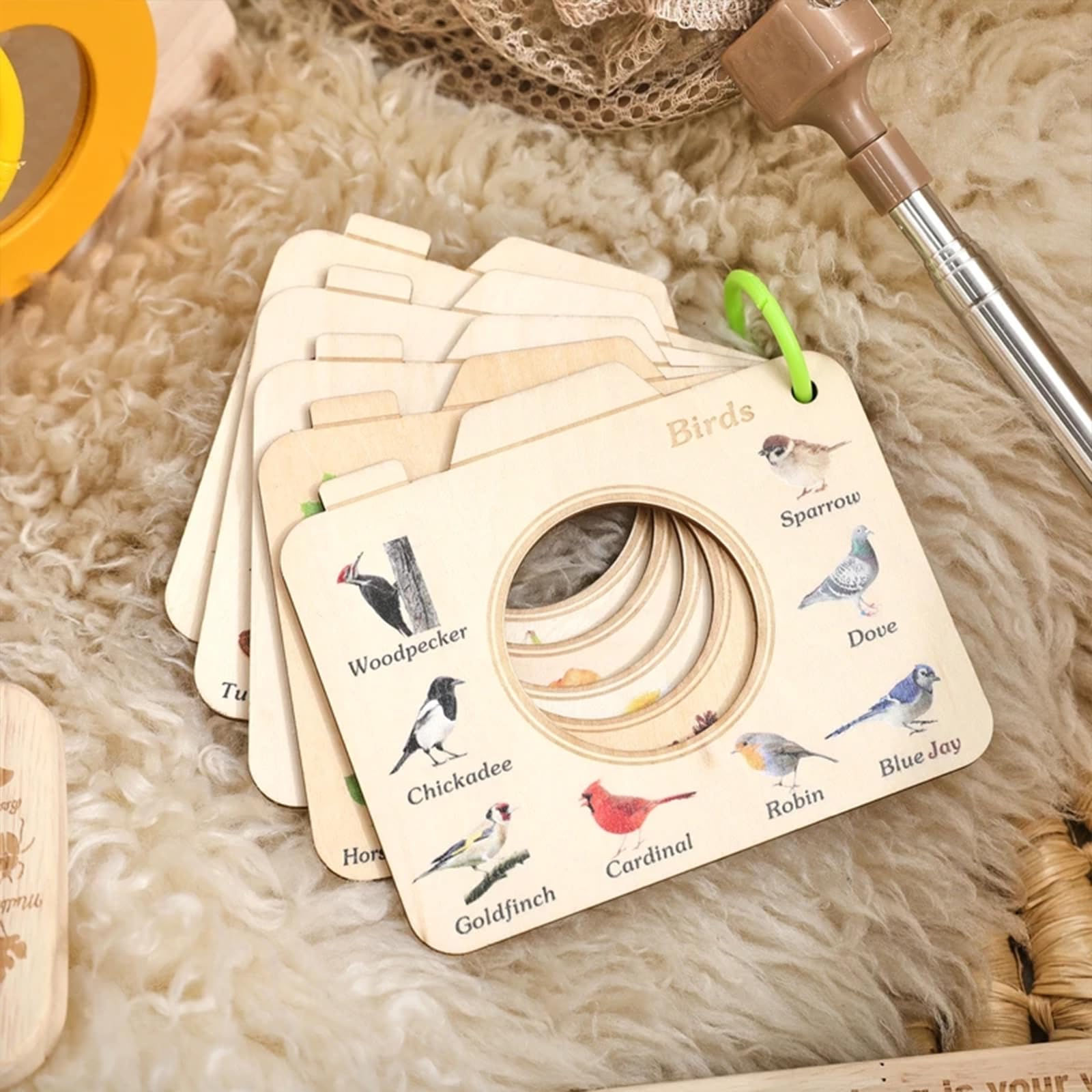 Kit acchiappasogni, set di 9 pezzi con scatola per insetti, habitat di farfalle, fattoria di lumbre, lente d'ingrandimento, kit educativo scientifico