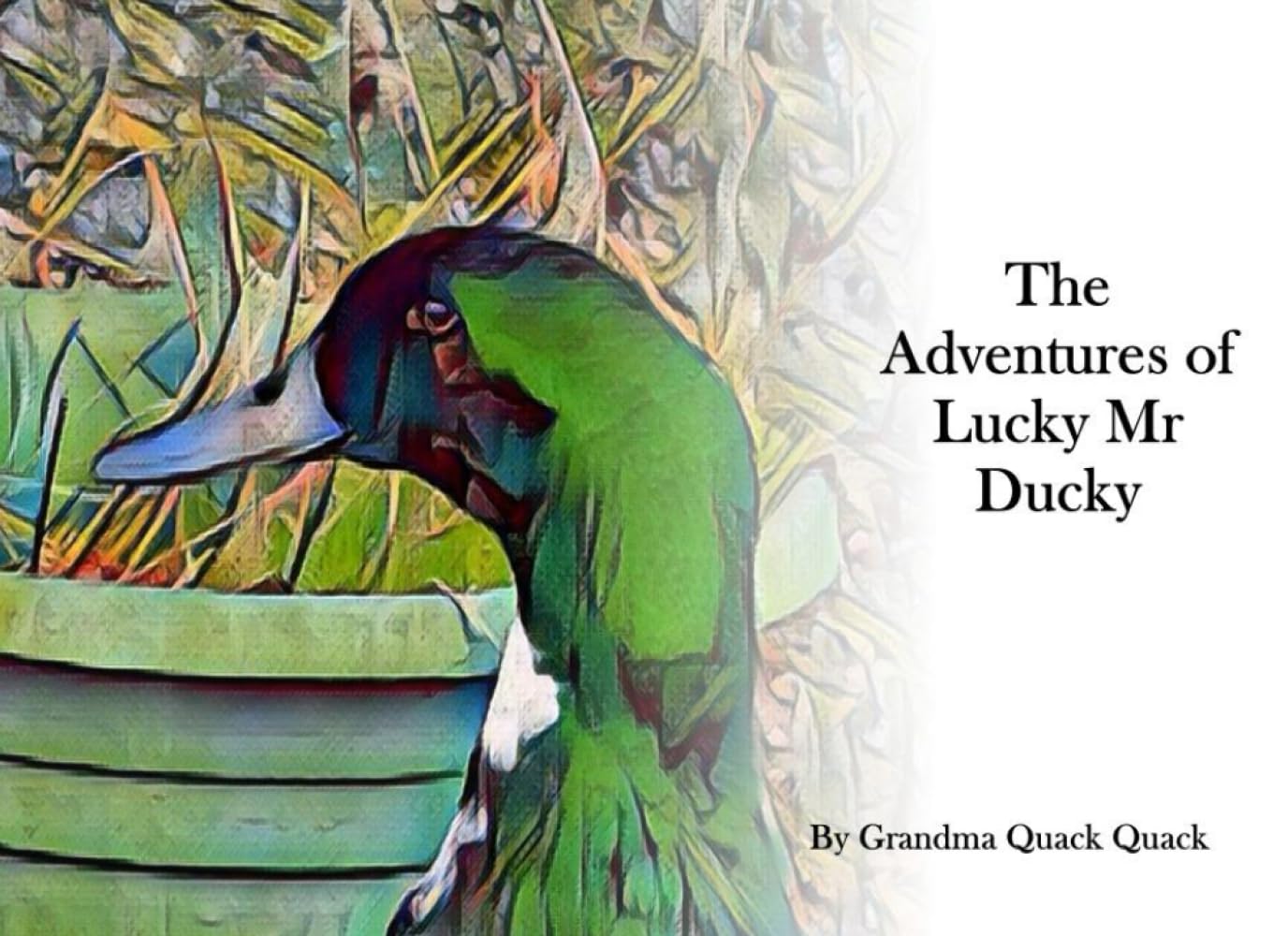 The Adventures of Lucky Mr Ducky