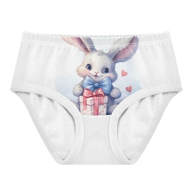 ALAZA Toddler Girls Cotton Hipster Underwear Soft Rabbit 3 2 Pack 2T