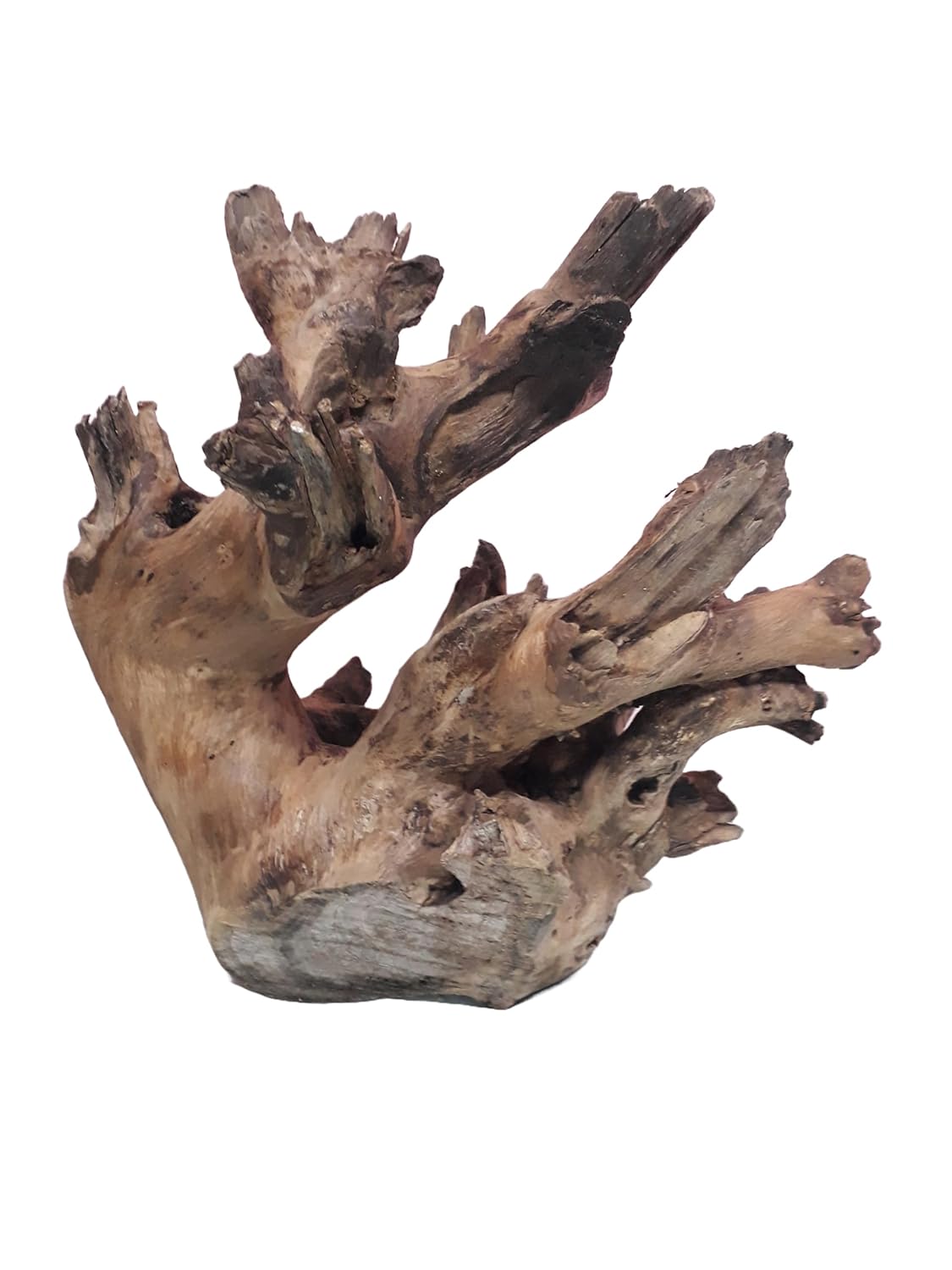 Driftwood for Aquarium Original Teak Wood Total Weight 2.2 KG and 31
