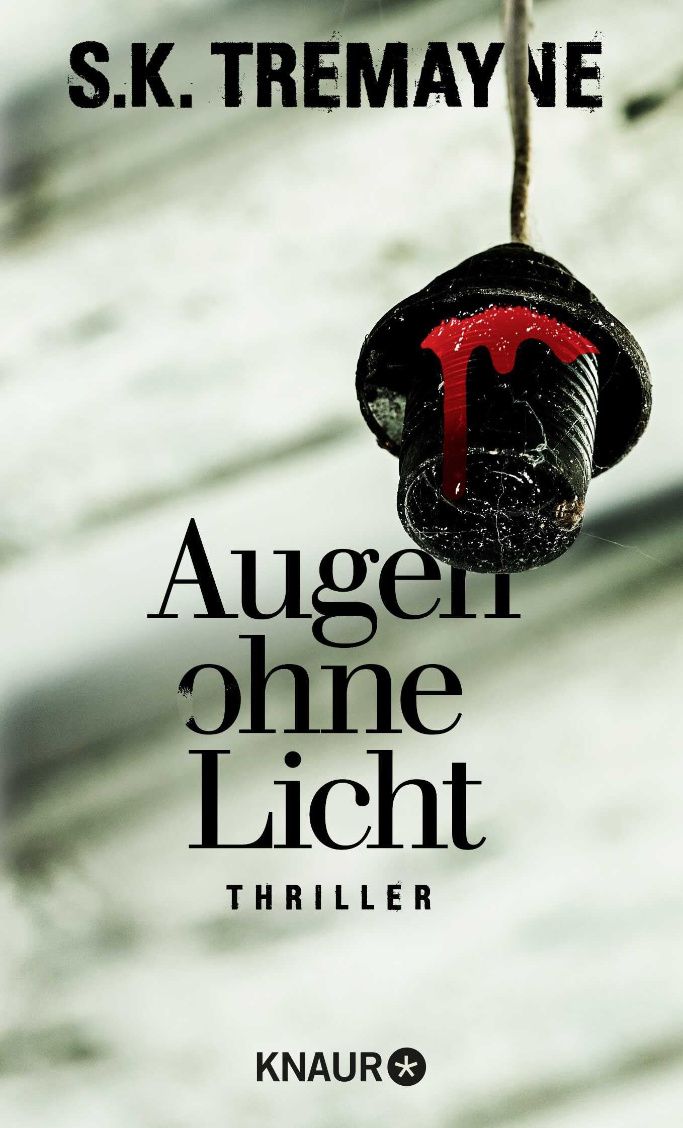 Augen ohne Licht: Thriller