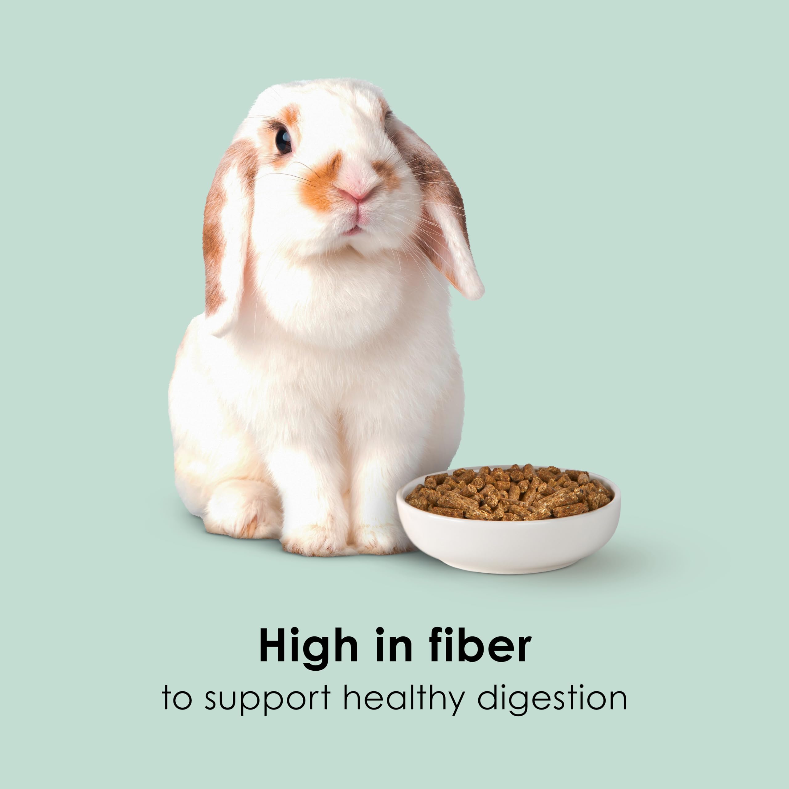 CBROSEY Kaytee Tim Hay Fiber Diet Complete Premium Alfalfa Free Rabbit Food 9.5lbs