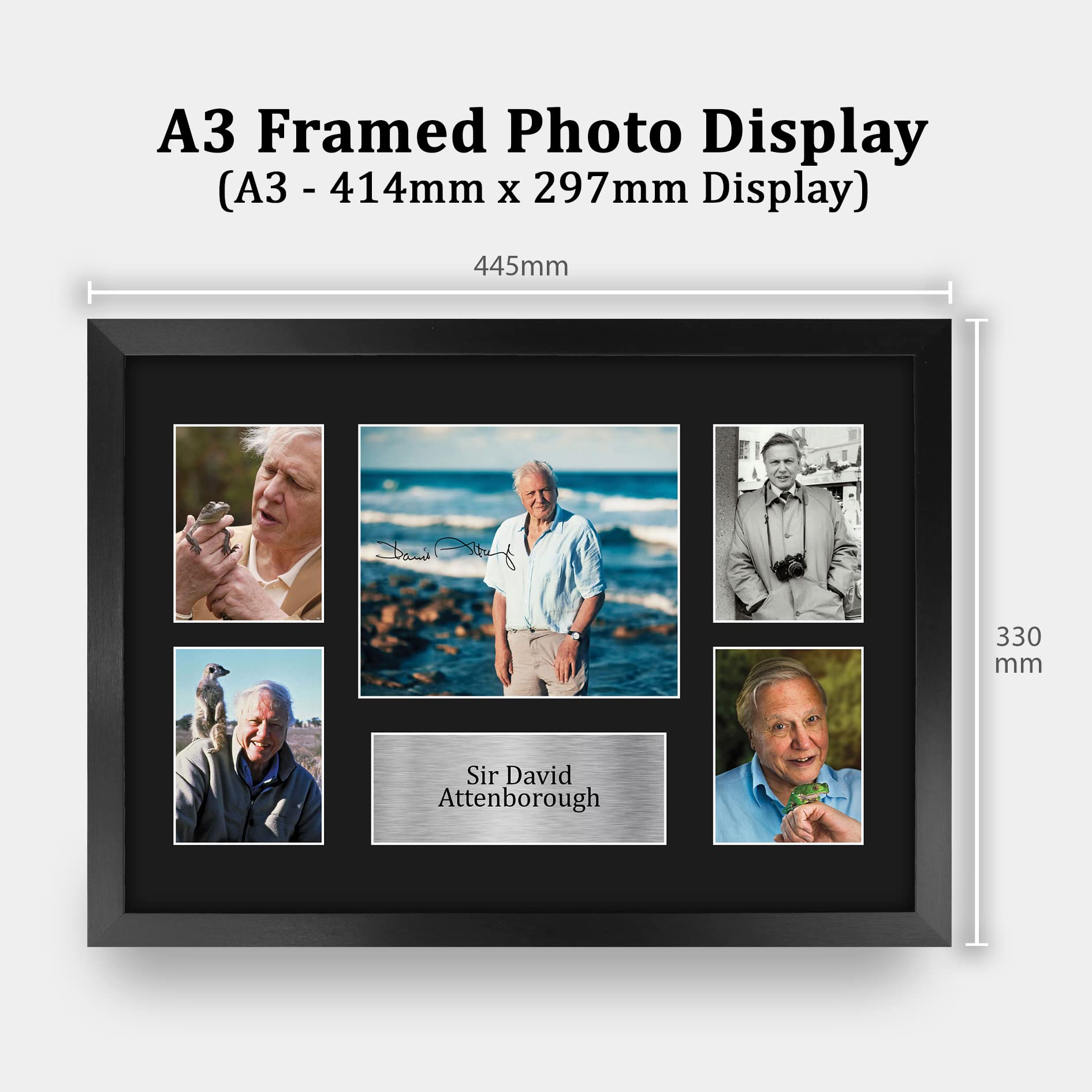 HWC Trading FR A3 Sir David Attenborough Gifts Printed Signed Autograph Picture for Followers & Fans - A3 Framed - Image 2