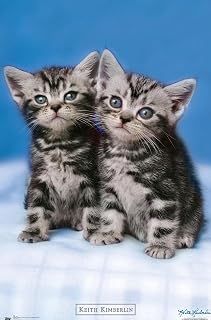 Trends International Keith Kimberlin - Kittens - Twins Wall Poster, 22.375" x 34", Premium Unframed Version