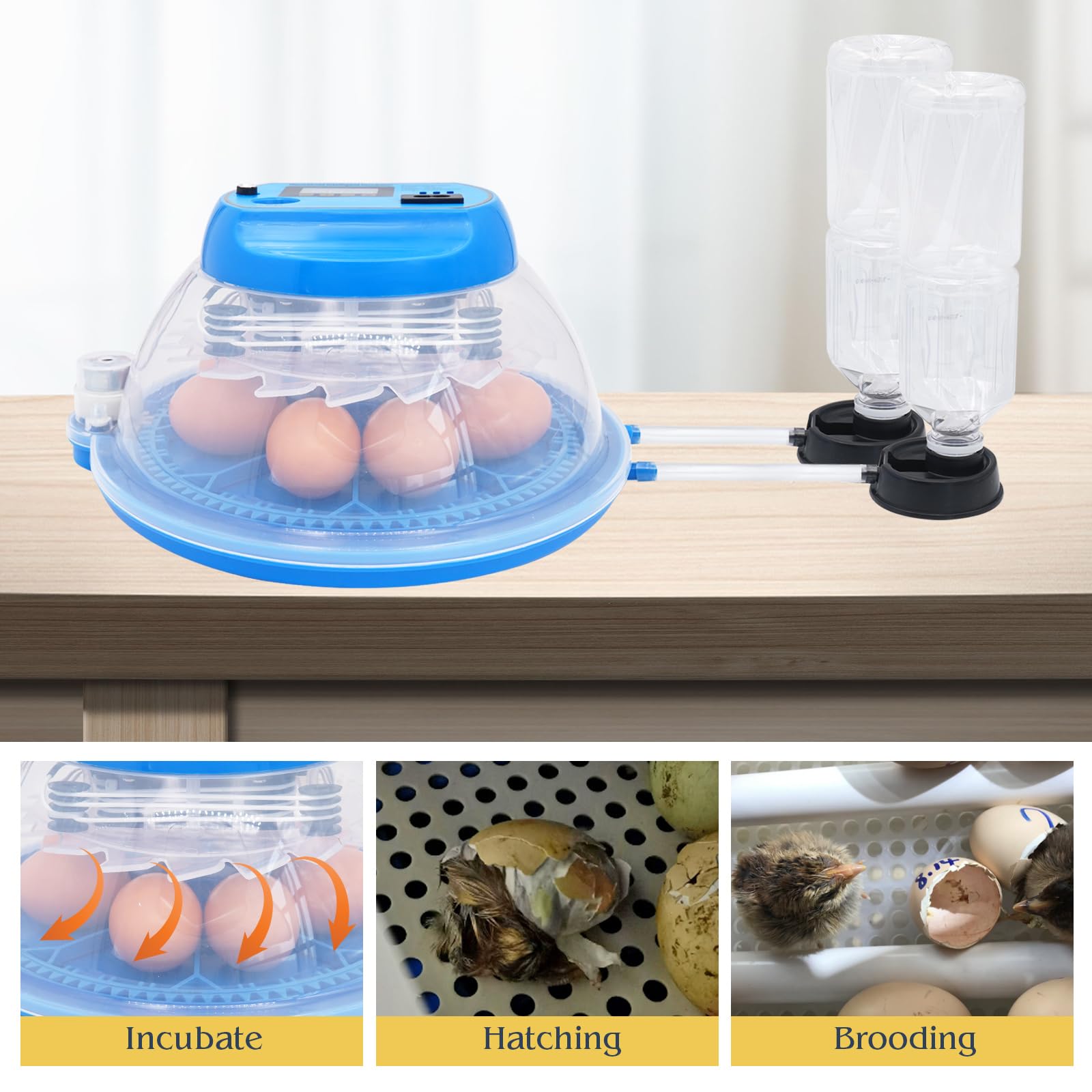 Incubadora Huevos Gallina Automatica,Incubadora Para 8 Huevos, Incubadora Para Giro AutomáTico de Huevos y Control de Temperatura, Pantalla LED Digital, Adecuada Para Patos Gansos Palomas Codornices