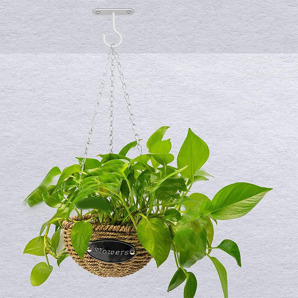 Esteopt Lot De 8 Crochets à Vis Pour Plafond - Avec Boucle De