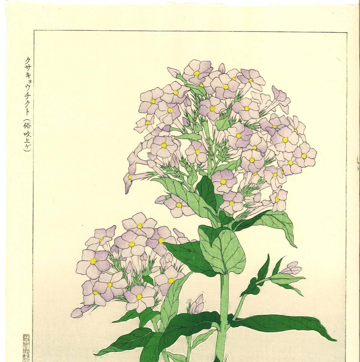 版画　ききょう 桔梗 花 絵画 木版画 和風 日本画 「清秋」 額付き : アート