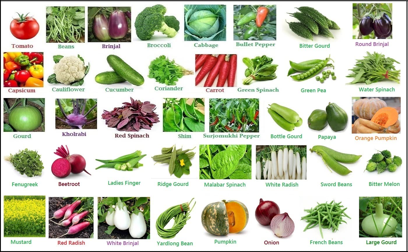 Green Peace 40 Varieties Premium Vegetables Seeds with Digital Instructions Manual 2060+ Seeds Combo for All Season, Quick Sprouting, Heirloom Indeterminate, Open Pollinated, Heavy Yielding for home gardening (B09LDC6YX5) Amazon Price History, Amazon Price Tracker