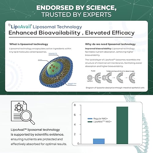 Miniatura 3 de UPLIFE Suplemento liposomal NAD+ de 500 mg con espermidina, apigenina, PQQ y resveratrol  NAD+ avanzado es potenciador de energía celular,