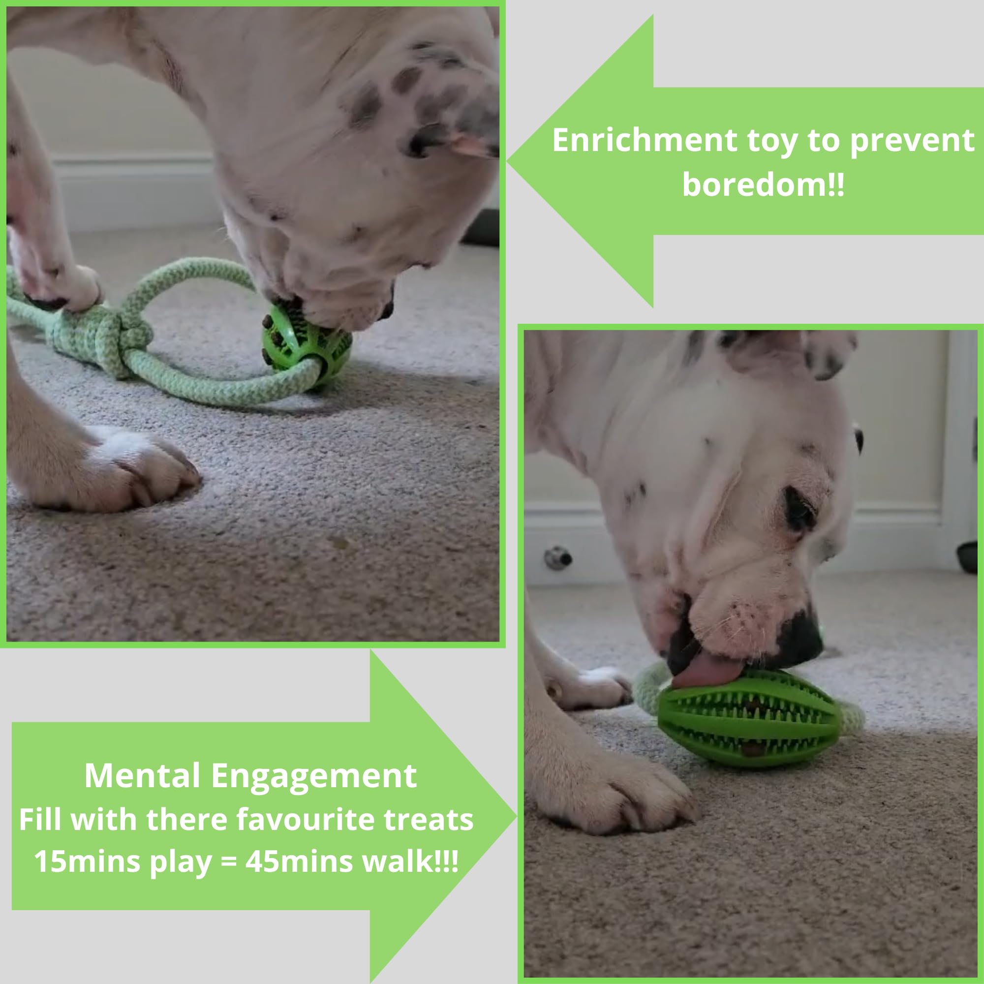 Dog Toys - Rope Tug & Treat Toy for Puppies Medium & Large Dogs, green - Image 3