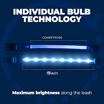 Blazin Light Up Dog Collar - The Original LED Dog Collar - USB Rechargeable - Waterproof - 1,000 Feet of Visibility - Dog Collar Light for Small, Medium, Large Dogs - USA Brand