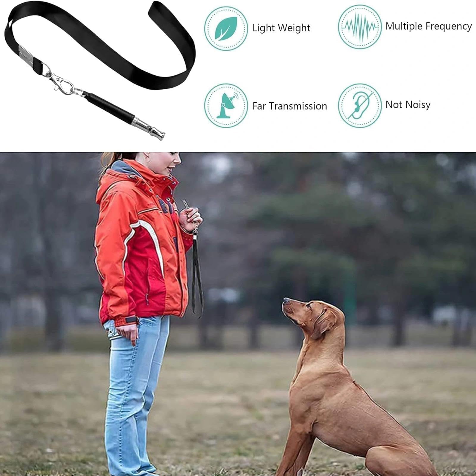 2 Pack Fischietto per Cani, Silenzioso Fischietto Ultrasuoni per Cani Richiamo, Alta Frequenza, Regolabile Fischietto Antiabbaio con Cordoncino, Adatto per La Maggior Parte delle Razze