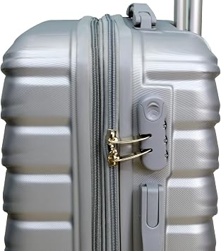 Suitcase Large 28-Inch Cabin Suitcase, Hard Shell ABS Expandable Travel Luggage with 8 Spinner Wheels, Lightweight Durable High Capacity Cabin Bag with Lock, Denver - Silver
