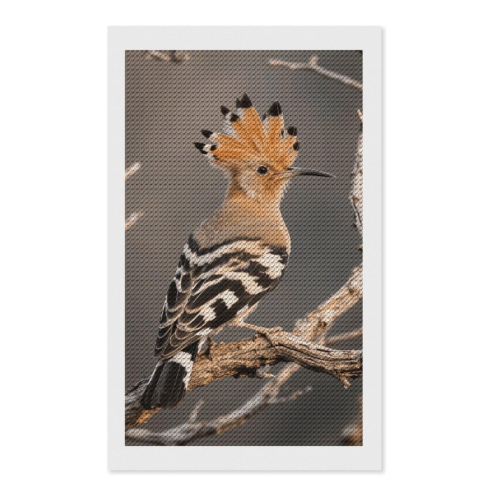 FodPand Hoopoe 5D Diamond Painting Kits for Adults Beginners Full Drill Round Diamond Dots Pictures Gem Art Supplies for Home Wall Room Decoration DIY Craft Set Gift 12x20