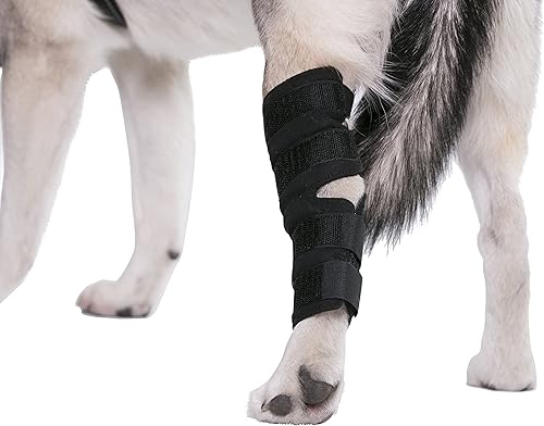 Miniatura 17 de AGON® Soportes de compresión para piernas de perro para espalda y piernas, protege heridas y ayuda a curar las patas traseras, articulación