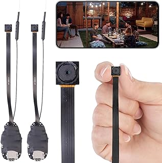 Somikon Kameramodul: 2er-Set 2K-Micro-Einbaukameras mit Bewegungserkennung, Mikrofon, WLAN (Mikro-Kamera, WLAN-Minikamera zum Einbau für die Aquarium-Beobachtung im Wohnzimmer)