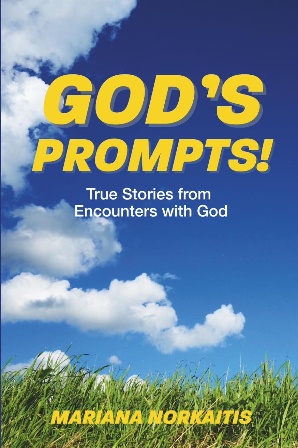God's Prompts: True Stories from Encounters with God