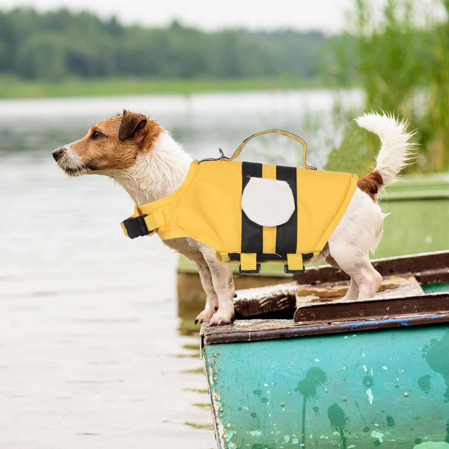 Life Jacket for Small Dogs and Puppies Adjustable Fit with Irritation-Free Wear Made of Oxford Cloth and Eve Floating Cotton for Swim Sessions and Water Activities Weighing 2.5-5kg