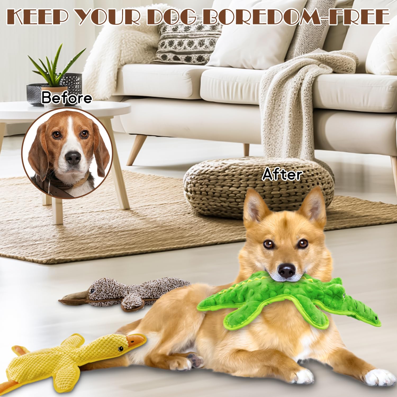 Quietschspielzeug für Hunde, keine Füllung, 3 Stück, Kauspielzeug für kleine, mittelgroße und große Rassen, langlebig, interaktiv, um sie zu beschäftigen, bestes Geburtstagsgeschenk