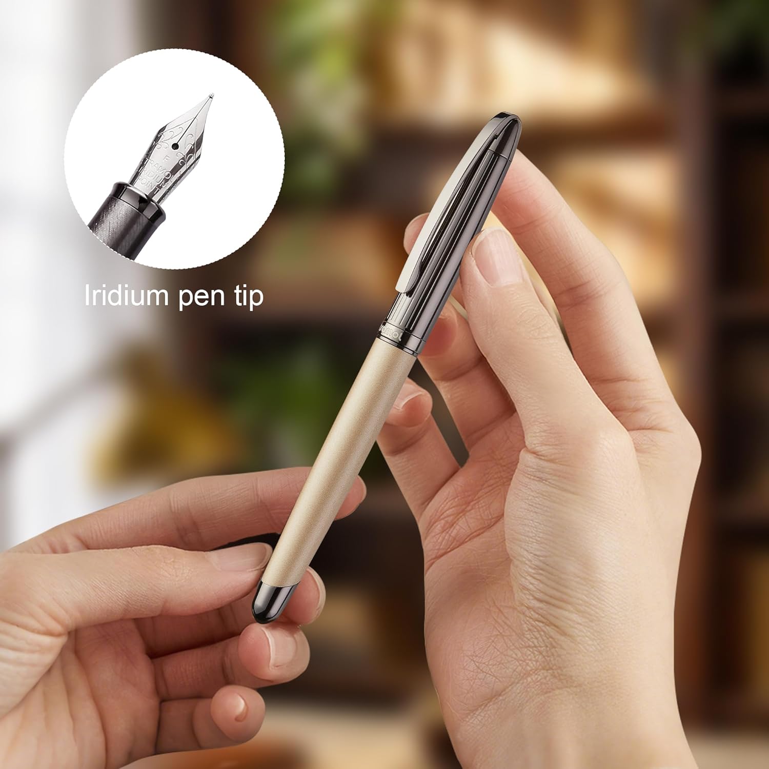 Fountain Pen Gift Set, (0.5mm) Fine Nib Suitable for teens and adults for journaling, calligraphy, and gift-giving (Gold)
