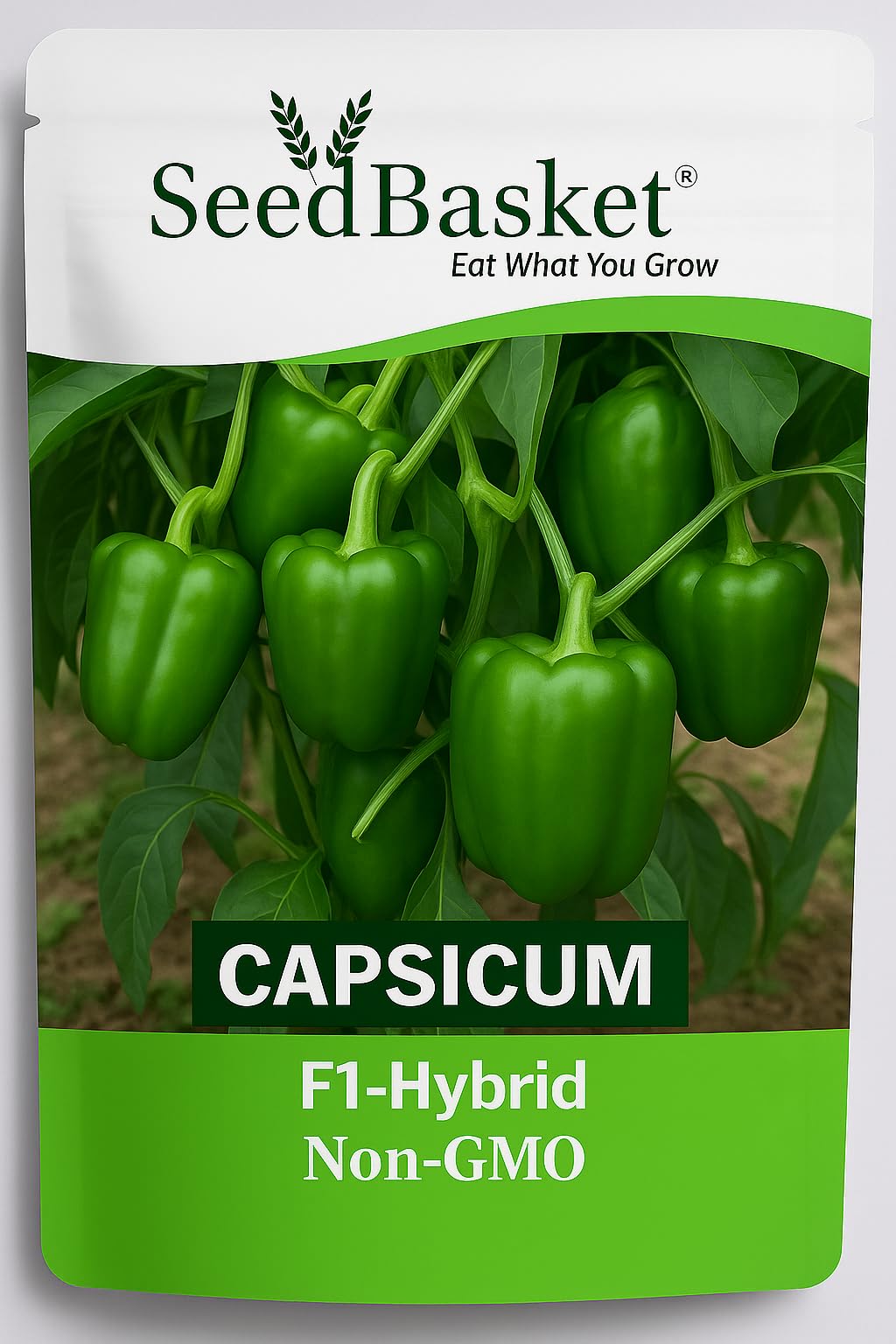 Seedbasket Pack of 3 Capsicum Green Red Yellow Hybrid Seeds – High Yield, Non-GMO, Fast Germination, Suitable for Pots, Grow Bags & Terrace Garden | Ideal for Home & Kitchen Gardening| - Image 4 thumbnail