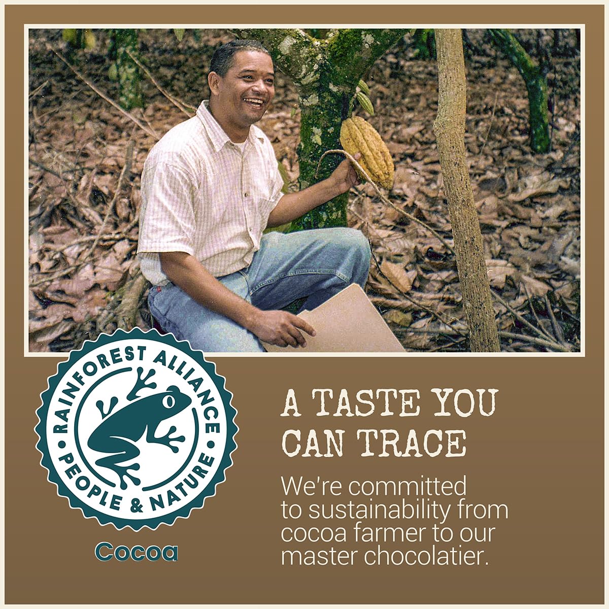 Chocolove Extra Strong Dark Chocolate Bars | 77% Cocoa | Strong & Smooth Premium Dark Chocolate | Rainforest Alliance Certified, Non-GMO, 3.2 oz Bar (12 Pack)