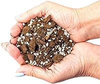 Vista 3 de GARDENERA Mezcla de tierra para macetas de aloe vera prémium (bolsa de 2 cuartos de galón)