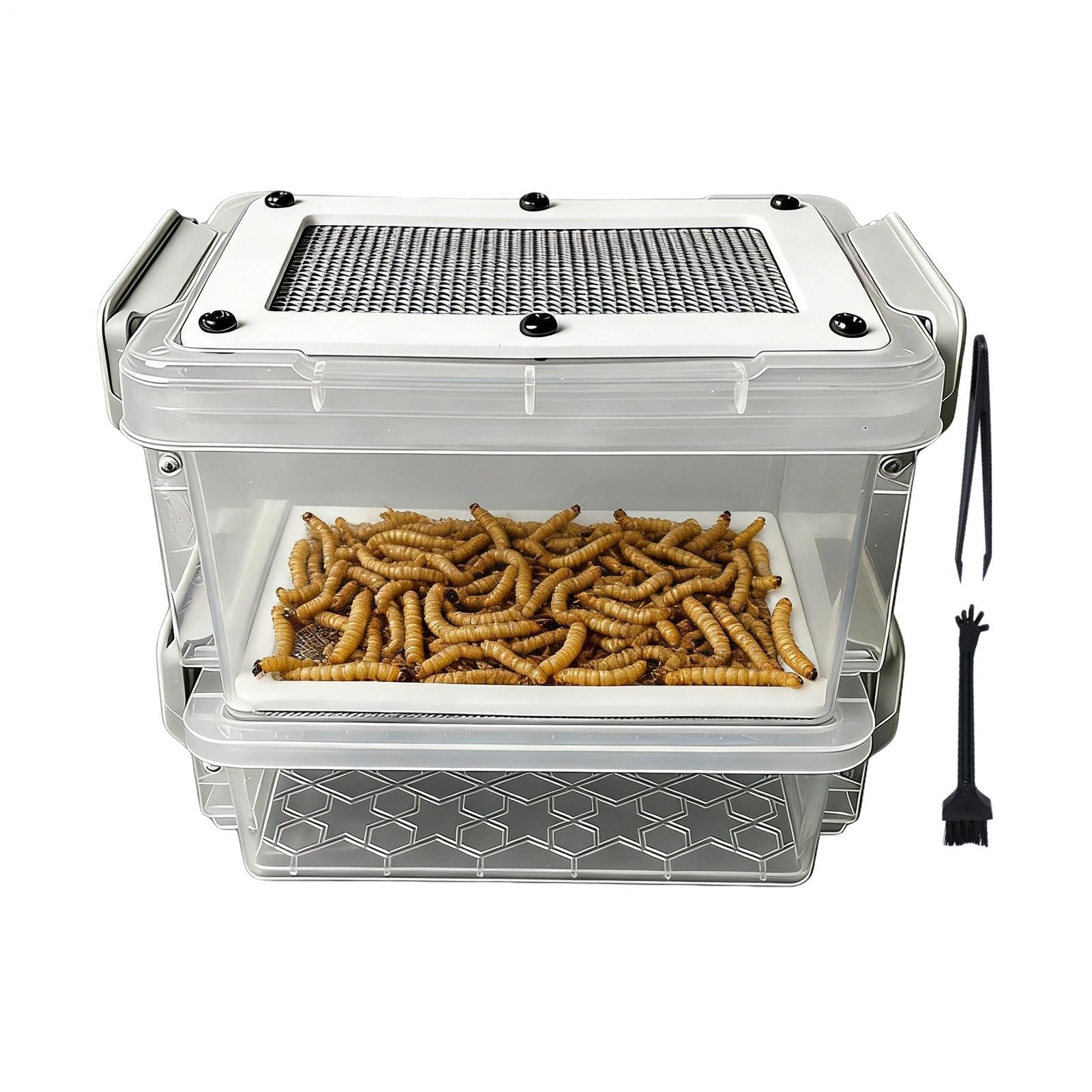 Récipient d'élevage de vers de farine avec habitat filtrant anti-humidité