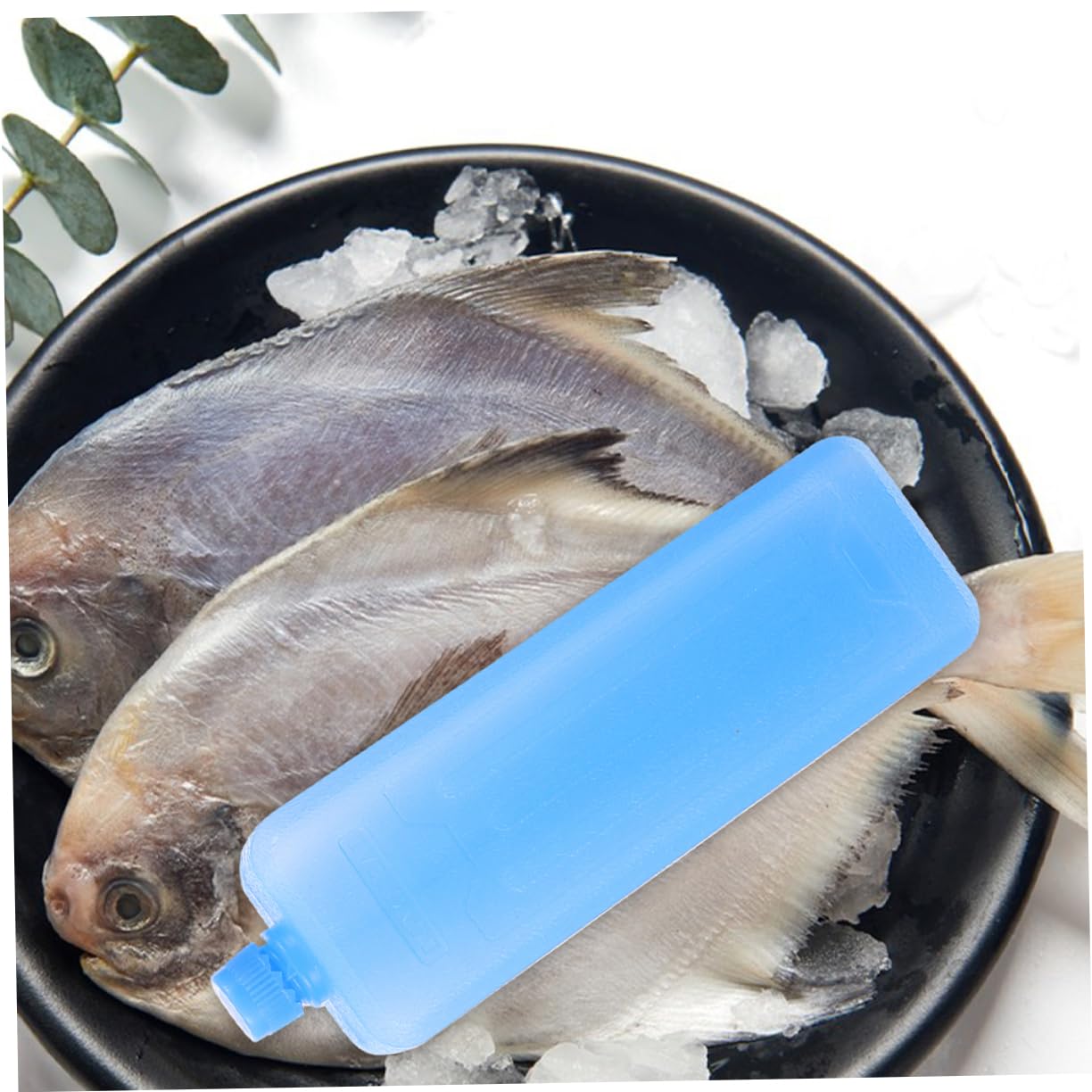 BESPORTBLE Ventilatore Condizionata Refrigeratori per Cristalli di Ghiaccio Accessori per La Pesca Congelatore Congelatore Contenitore per Il Ghiaccio Blocco Ghiaccio per Refrigeratori