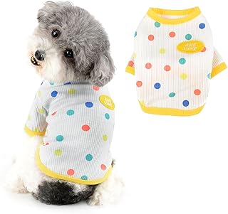 Ranphy Small Dog Sweater Pet Sweatshirt with Polka Dot Doggy Pullover Puppy Soft Warm Outfit Spring Autumn Clothes Elastic Yorkie Chihuahua Pullover Cats Apparel, White, XXL