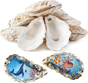 20Pcs 5"-6" Concave Oyster Shells for Crafts Natural Large Oyster Shells for DIY Crafting Christmas Ornaments Decoupage Beach Decor Arts and Crafts Bulk Clam Shells Sea Shells