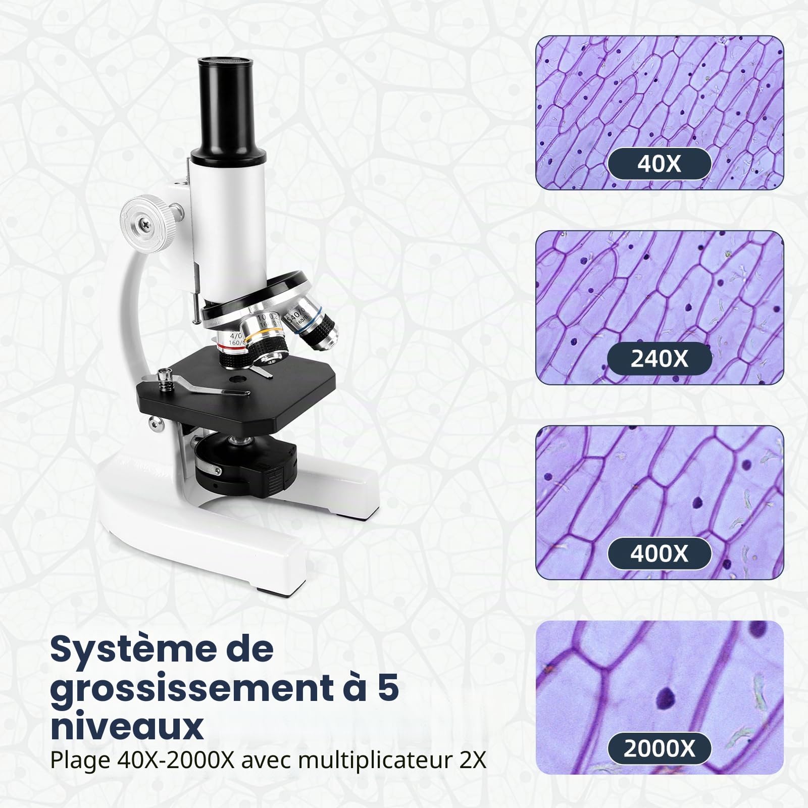 Microscope pour étudiants adultes 40-2000x Microscope avec 10x | Microscope avec oculaires 25x, lentilles d'objectif 4x10x40x et une loupe 2x, microscopes pour adultes