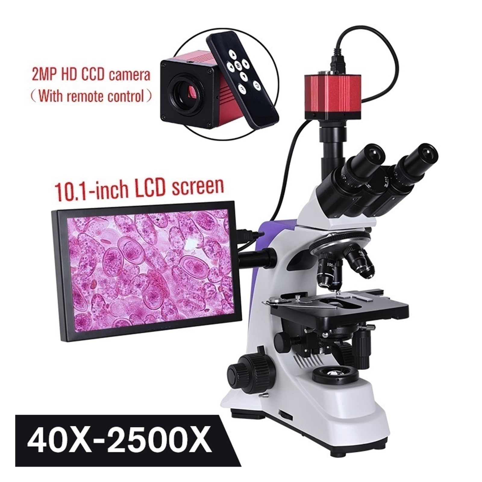 Microscopio trinocular HD biológico de Laboratorio con Zoom de 2500X y cámara Digital electrónica de 16 MP, USB, HDMI, VAG y Pantalla LCD de 10 Pulgadas, fácil de Usar.，Gold