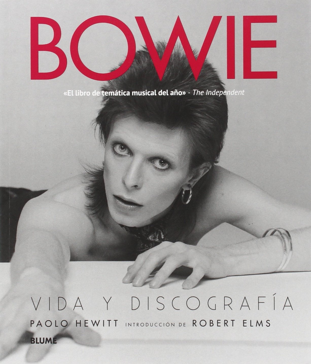 David Bowie livre biographie et discographie le cadeau idéal pour anniversaire de mélomane