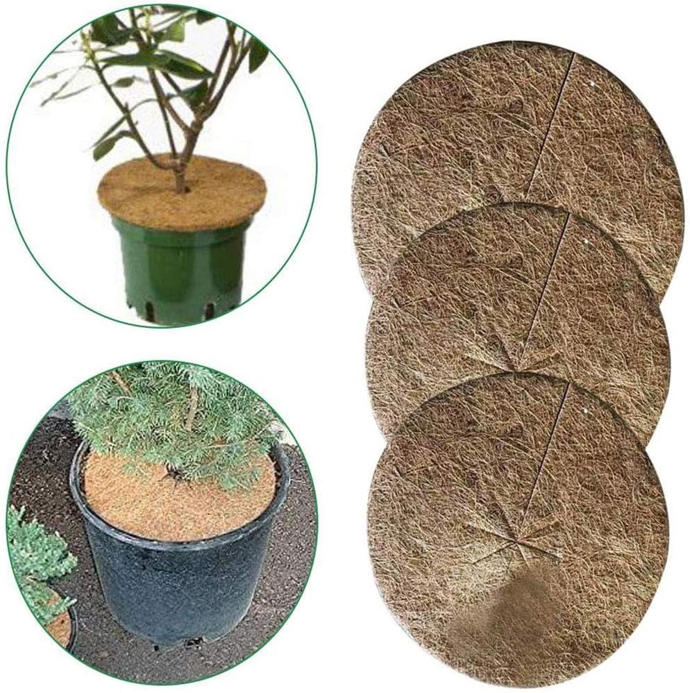 Deposito di erbe infestanti per lo stoccaggio