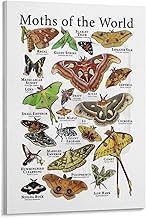 Moth Life Cycle & Symbolism Art Print - Educational Insect Knowledge Poster for Nature Lovers, Biology Study, and Mystical Home Decor(Unframed,08x12inch(20x30cm))