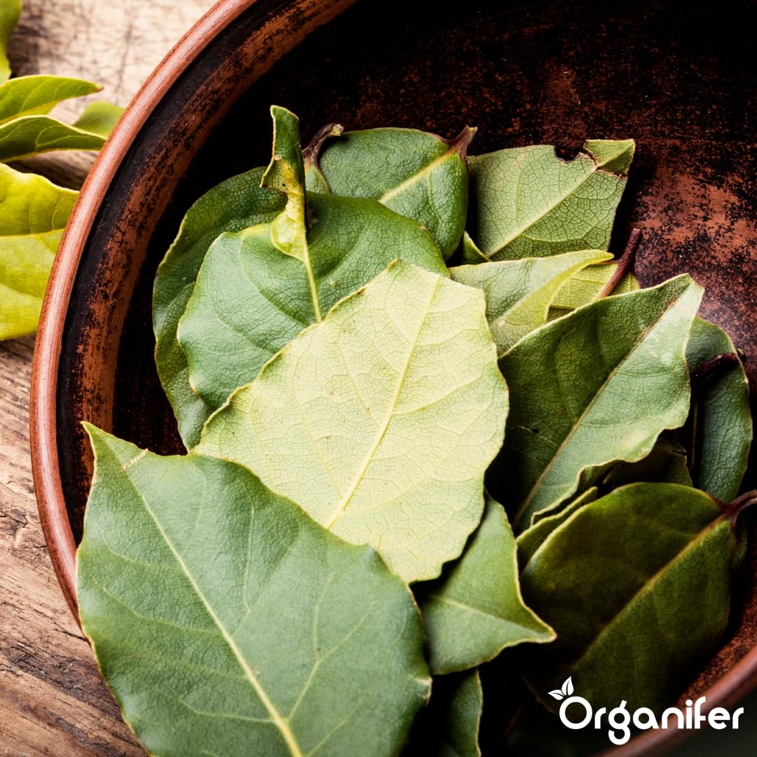 Fertilizante Líquido Para Laurel - 2x1L - NPK 3-4-3 | Fertilizante Para Hojas Sanas Y Raíces Fuertes - Favorece Vitalidad Y Aroma - Organifer