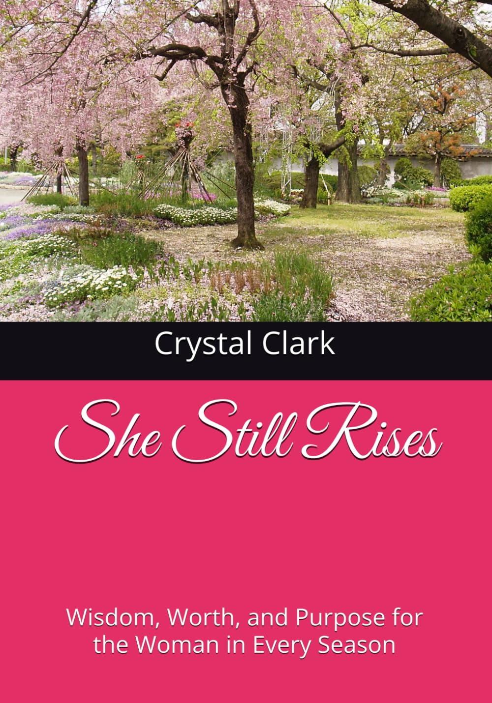 She Still Rises: Wisdom, Worth, and Purpose for the Woman in Every Season