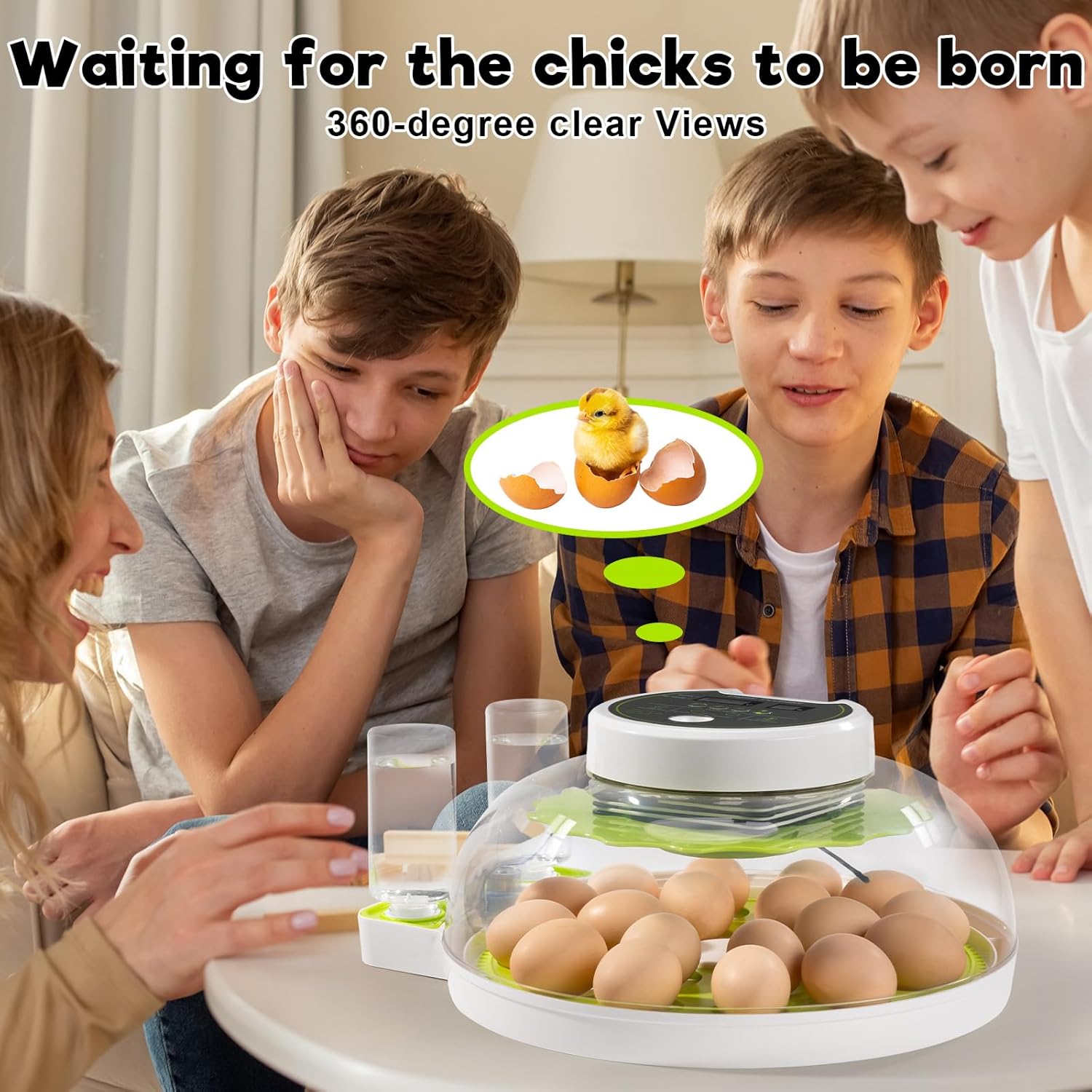 18 Egg Incubator with Automatic Turning & Humidity Control, 0.1 Precision for Chicken/Duck/Goose/Quail/Parrot Eggs (Green)