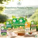 A TATA Product - Organic India Tulsi Green Tea Classic Loose Leaves - 100g, Stress Relieving, Uplifts Mood, Rich in Antioxidants, Blend of Rama, Krishna & Vana, Certified Organic gallery image