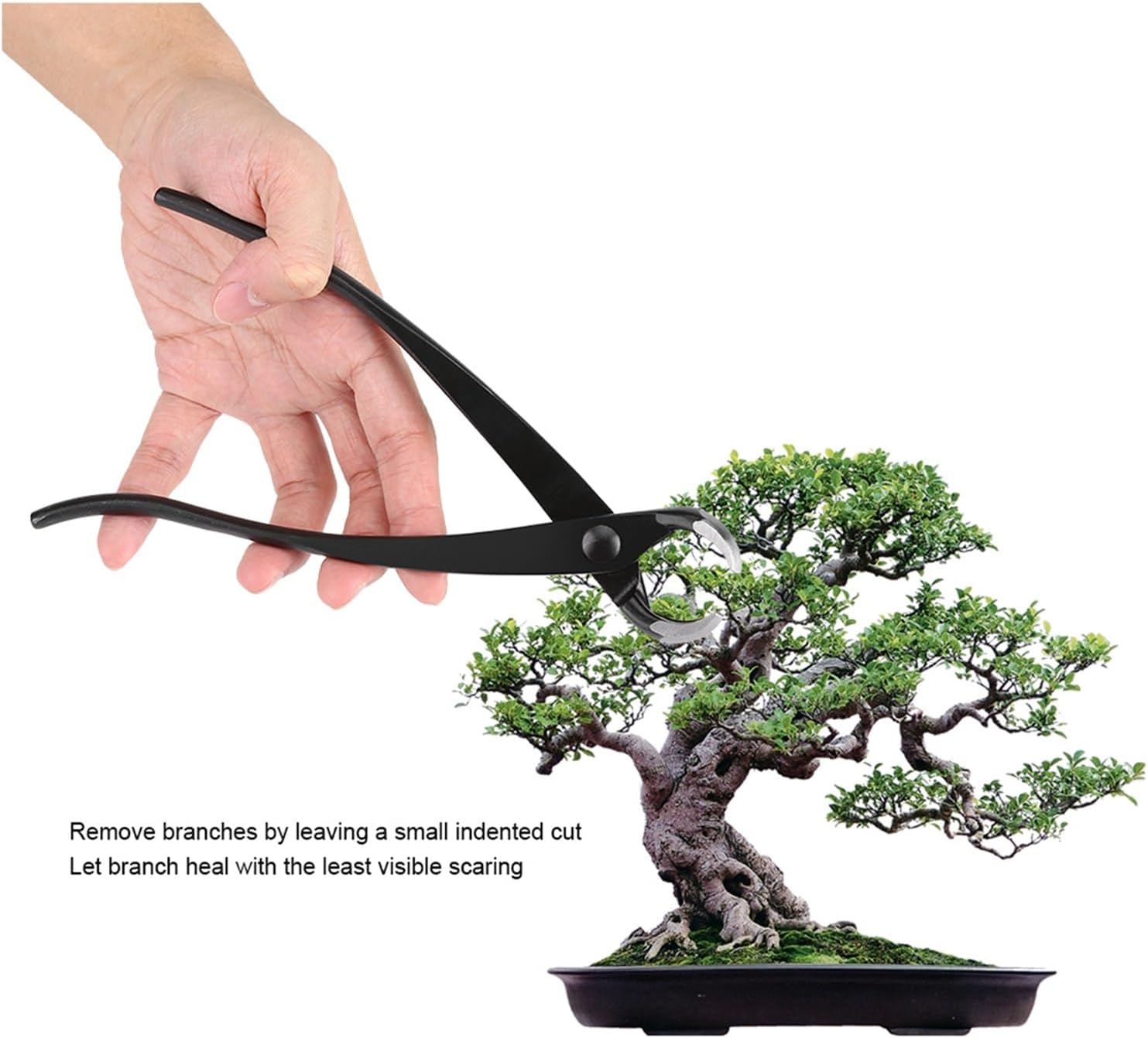 204mm/8 Inch Professional Bonsai Branch Cutter, Zinc Alloy Round Edge Pruning Tool with Comfort Knob Handle for Bonsai, Gardening